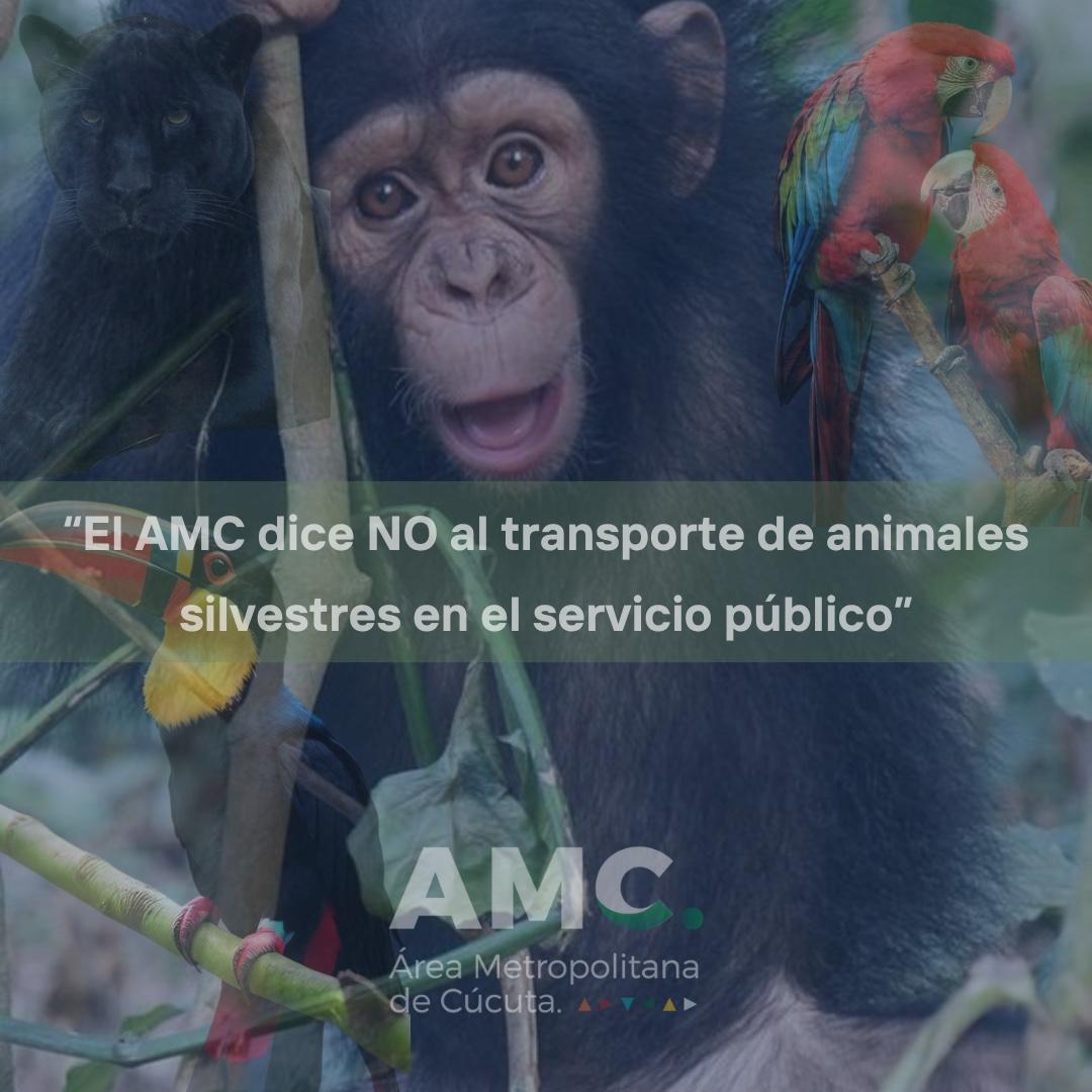 Prohibición de transportar animales silvestre en el transporte público