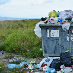 Basura