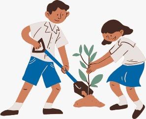 Sembrar Plantas