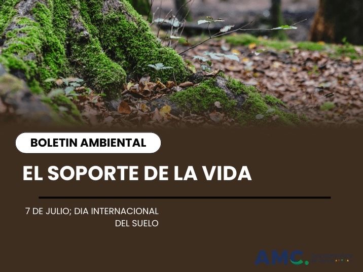 7 de Julio, Día Internacional del Suelo