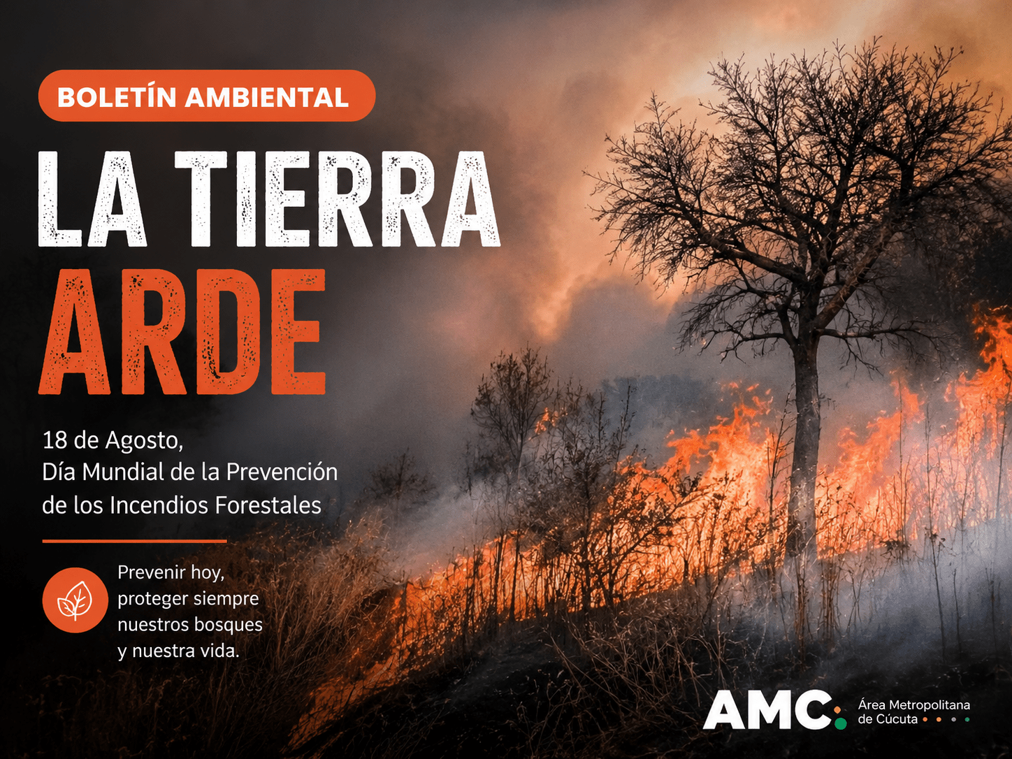 Boletín ambiental “La Tierra Arde” sobre la prevención de incendios forestales, con imagen de un bosque afectado por el fuego.
